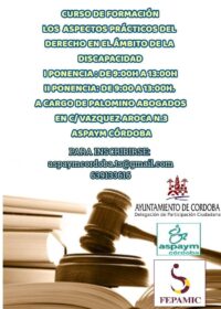 Curso: Los aspectos prácticos del derecho en el ámbito de la discapacidad